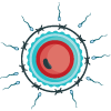 infertility-icon1