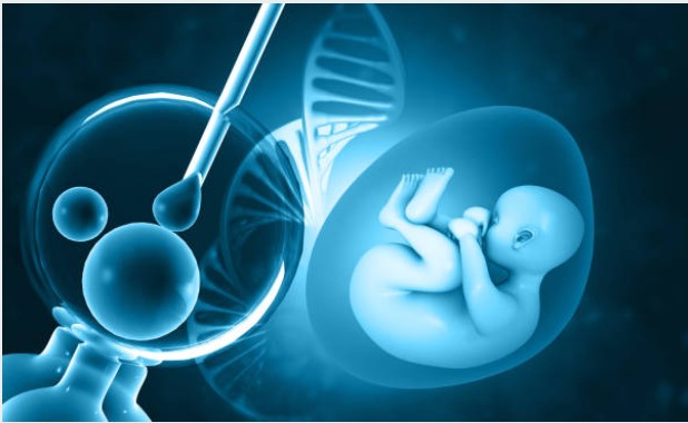 3 babies in a day from frozen embryos in Dhaka
